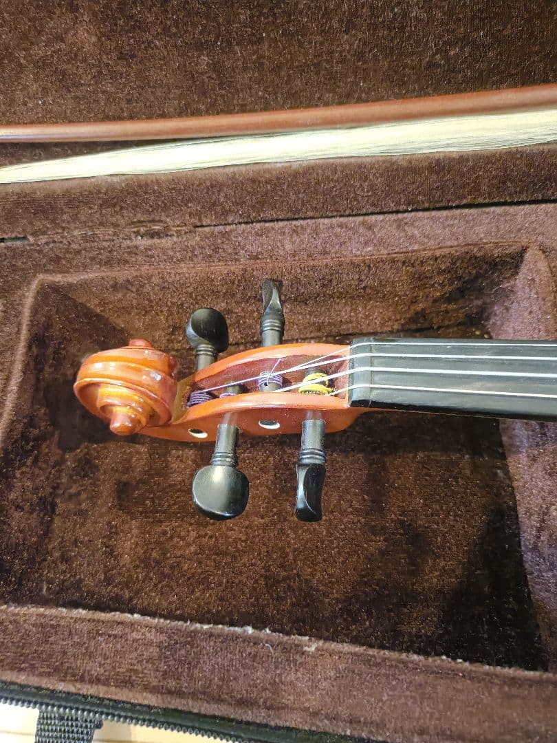 Carlo giordano ヴァイオリン1/2サイズ 2017年製 VS-1