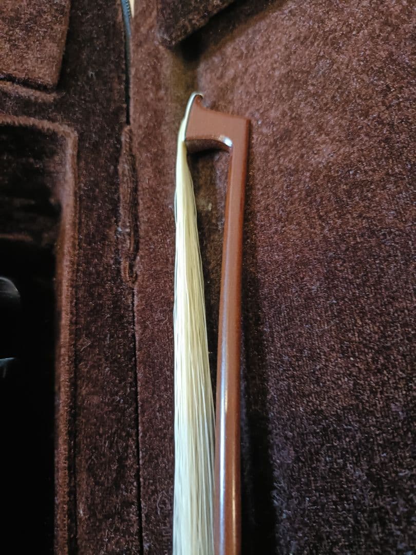 Carlo giordano ヴァイオリン1/2サイズ 2017年製 VS-1