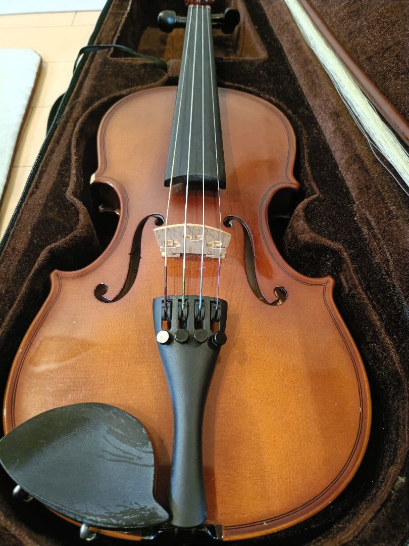 Carlo giordano ヴァイオリン1/2サイズ 2017年製 VS-1