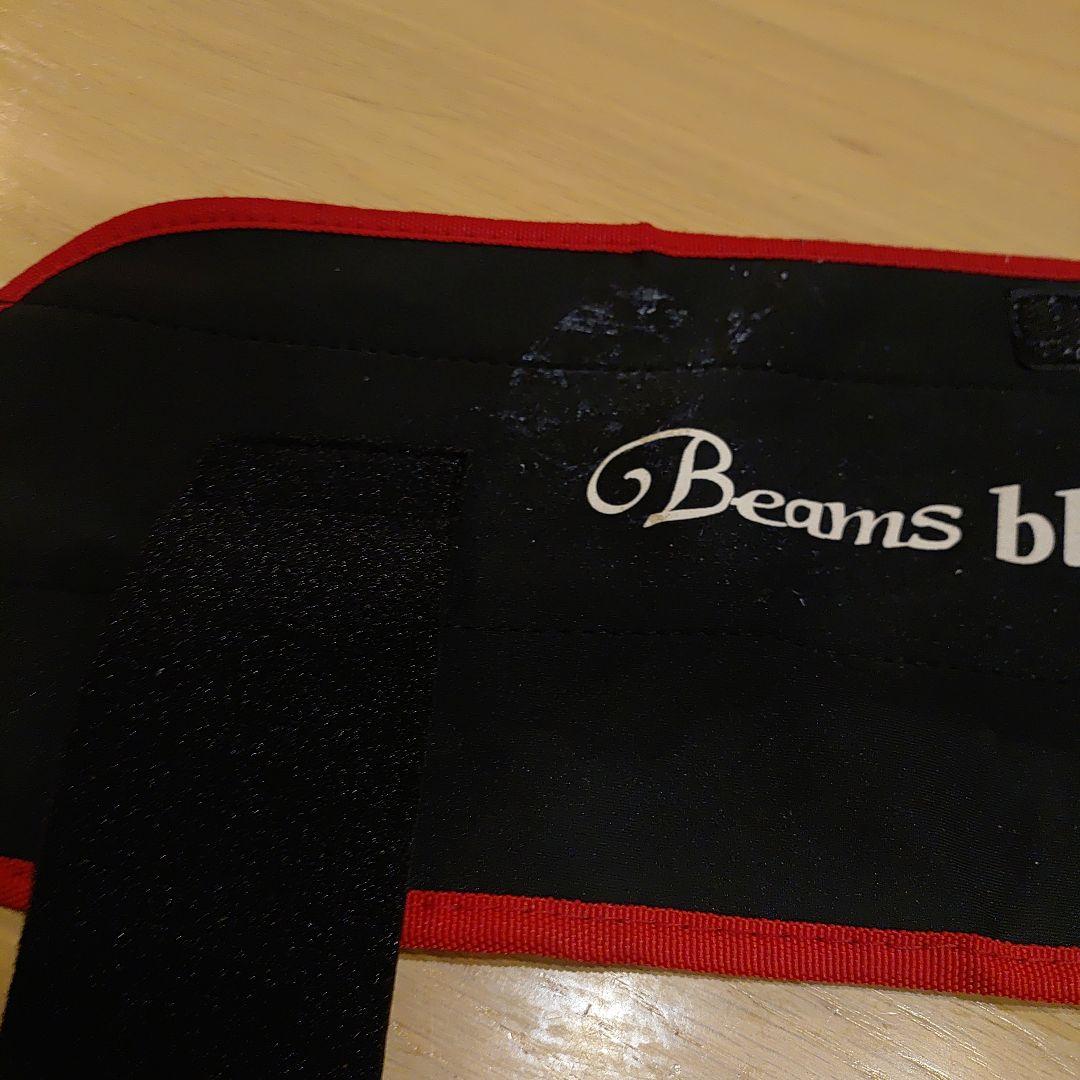 Fishman　ブランシエラ48UL