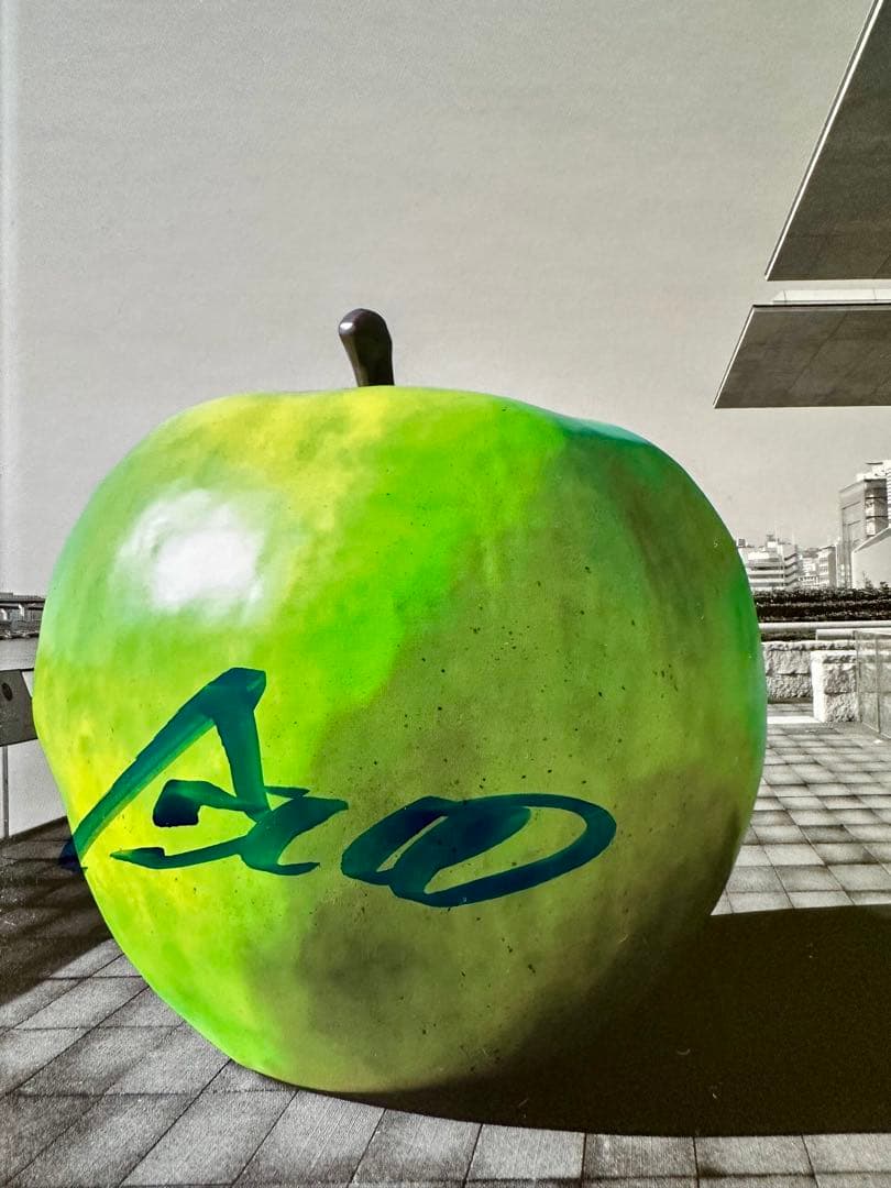 安藤忠雄 サイン入り アートブック YOUTH 未使用