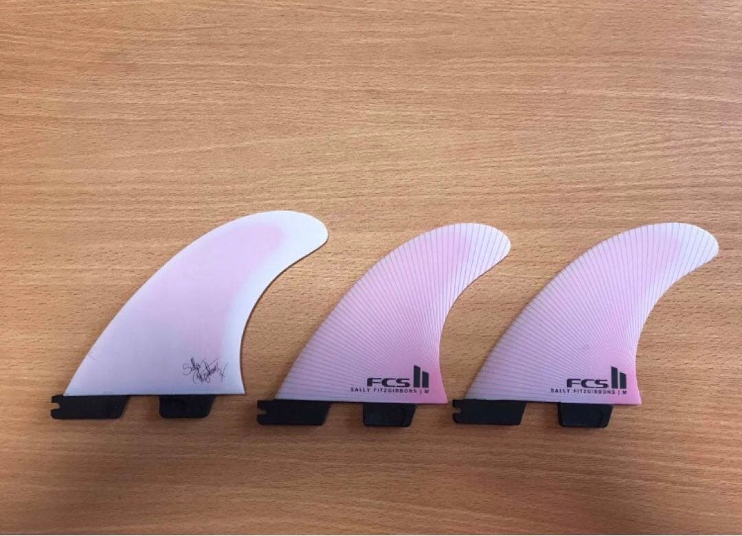 fcs2フィン　サリーフィッツギボンズ　M