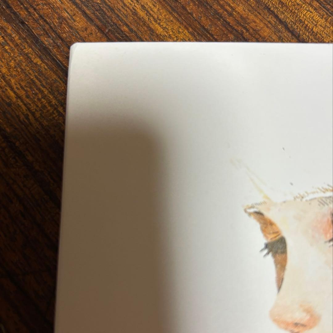 【期間限定】米津玄師「サンタマリア」 リミテッドパッケージ