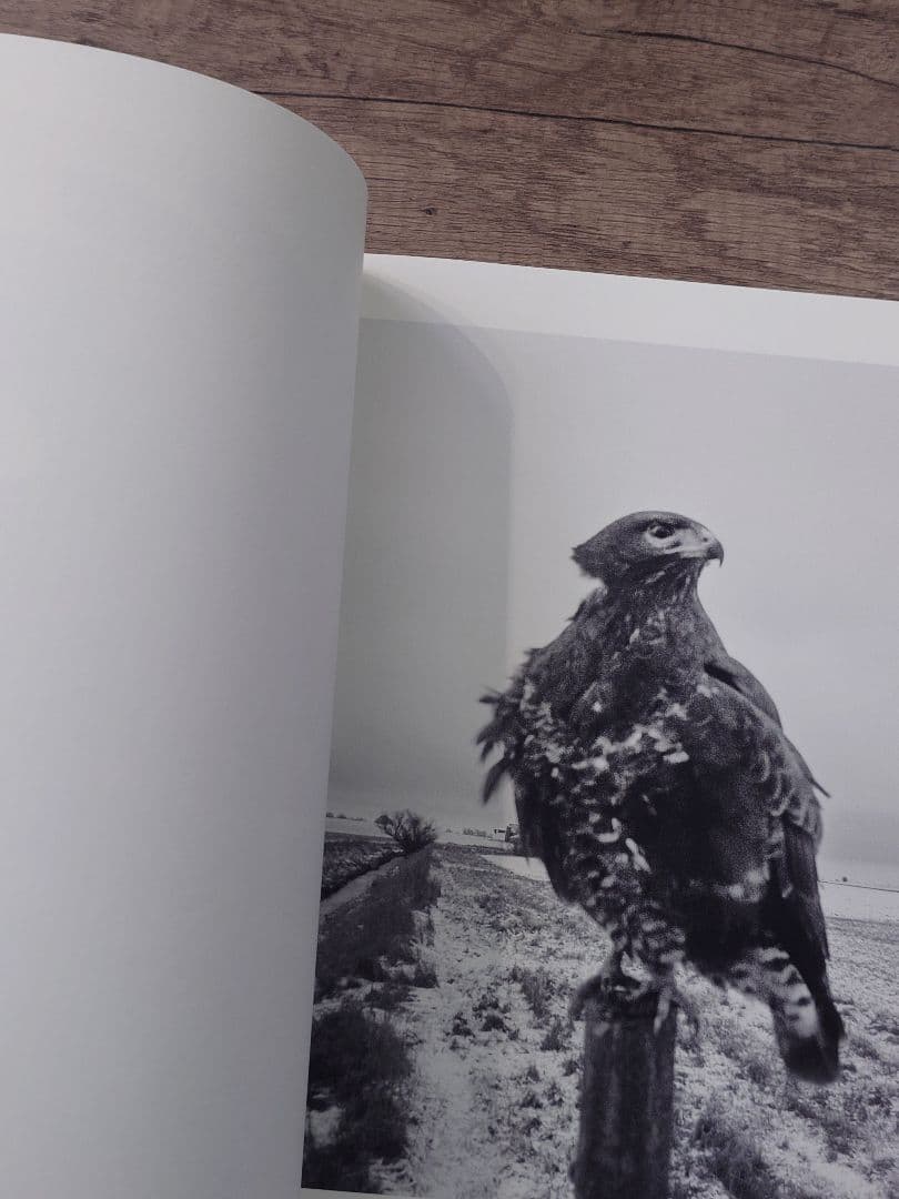 The Pillar Stephen Gill　スティーブン・ギル　サイン本