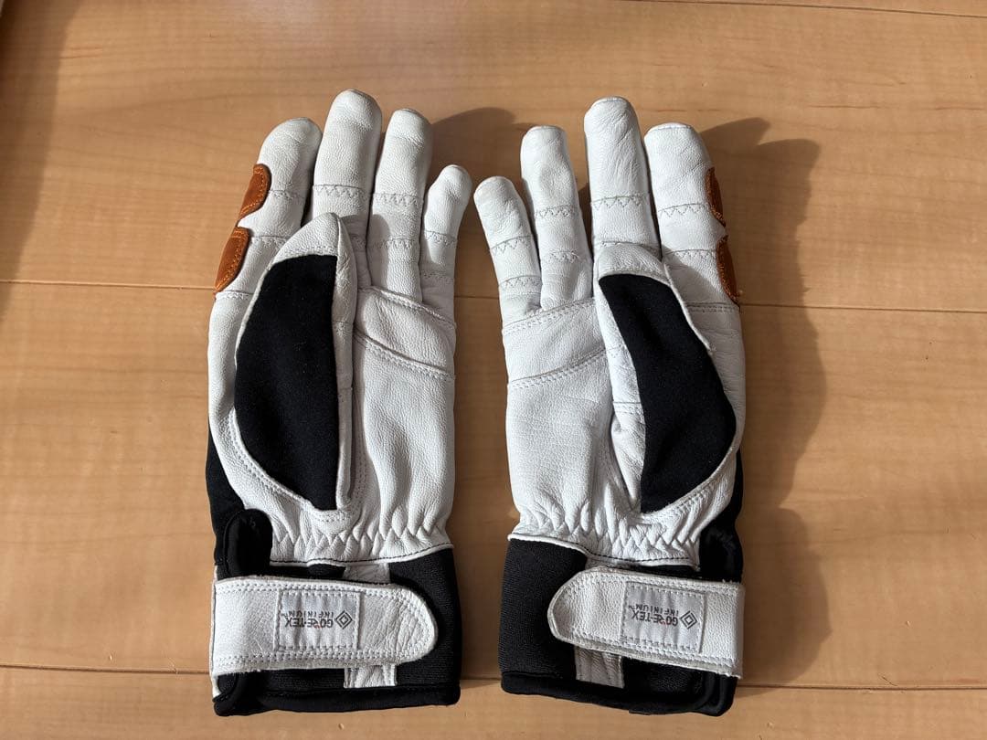 スキー HESTRA Ergo Grip Active Wool GORETEX