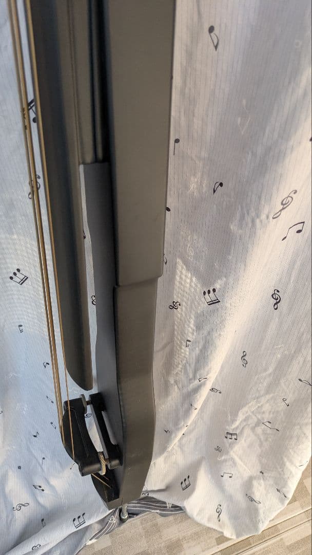 【即購入可】ハルシュタット　エレクトリックウッドベース