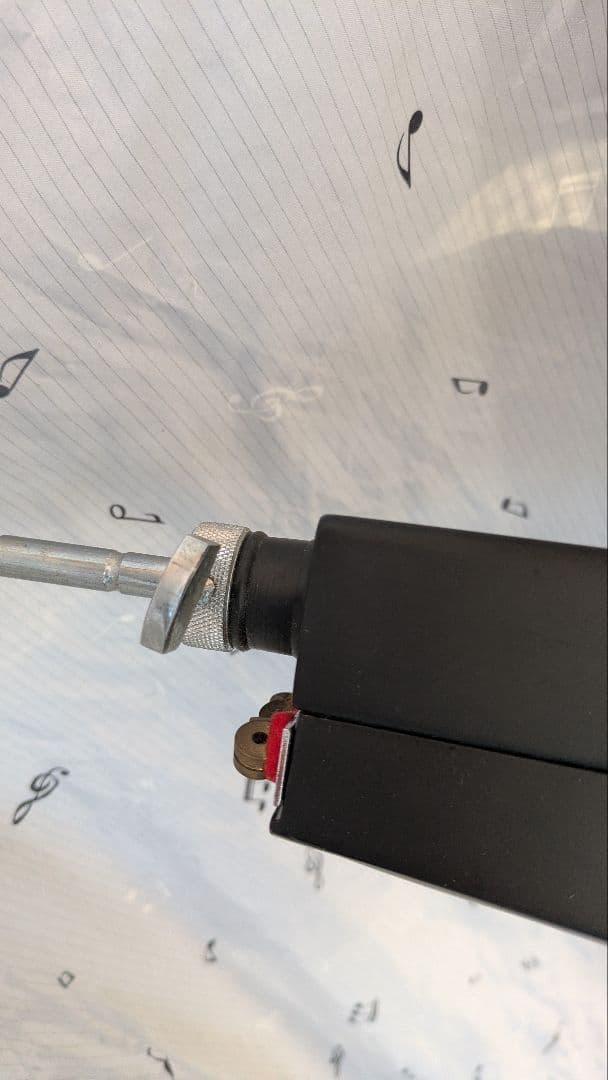 【即購入可】ハルシュタット　エレクトリックウッドベース