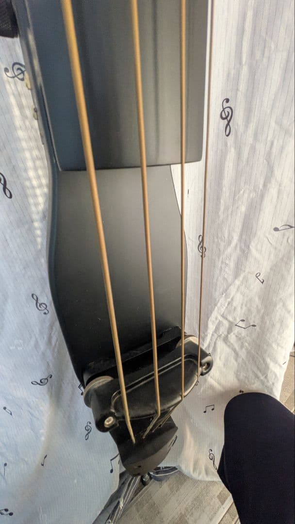 【即購入可】ハルシュタット　エレクトリックウッドベース