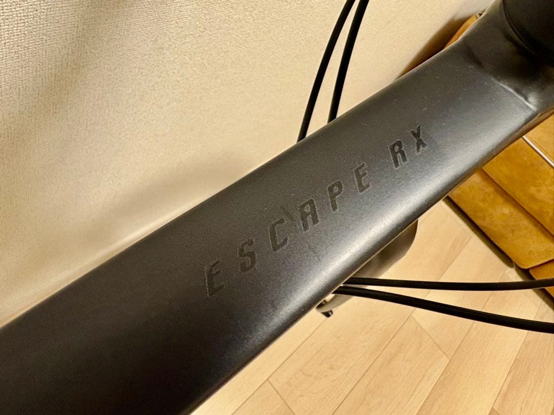 ⭐︎人気2022 Giant RX2 Disc ジャイアント ディスクブレーキ　S