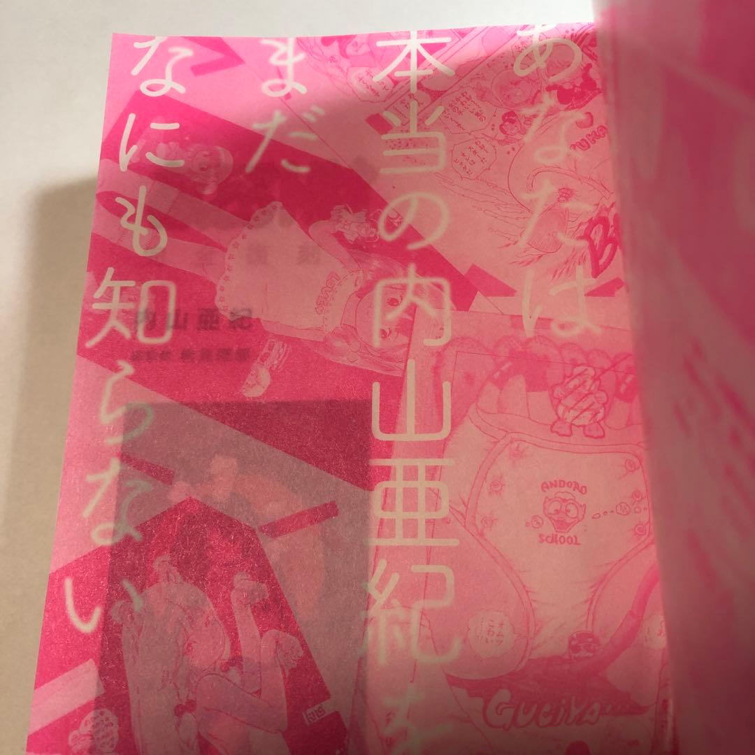 内山亜紀　あんどろトリオ 完全復刻版【送料込】美品