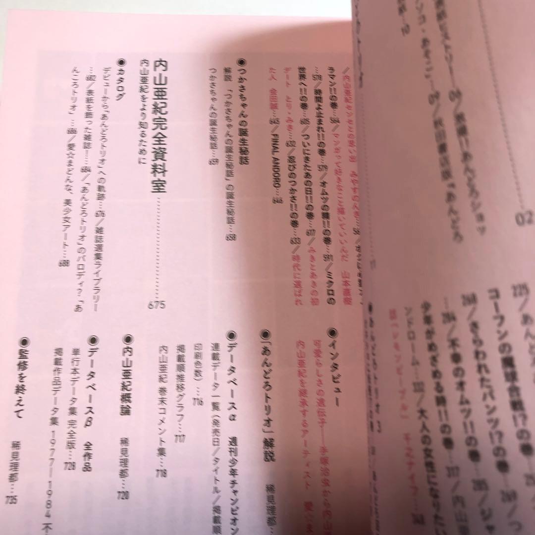 内山亜紀　あんどろトリオ 完全復刻版【送料込】美品