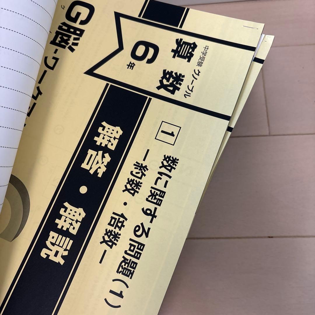 中学受験グノーブル　算数6年 G脳ワークアウト　全20冊