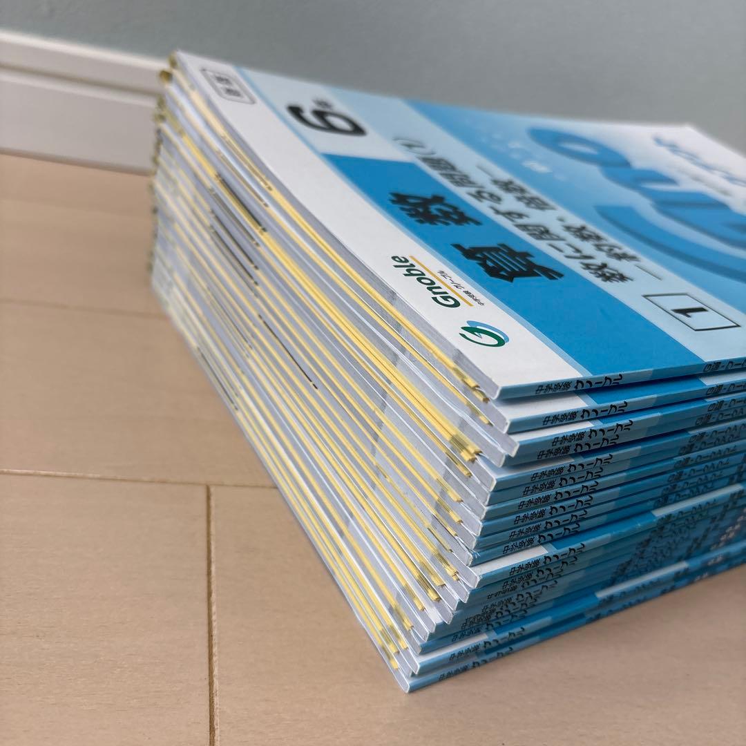 中学受験グノーブル　算数6年 G脳ワークアウト　全20冊