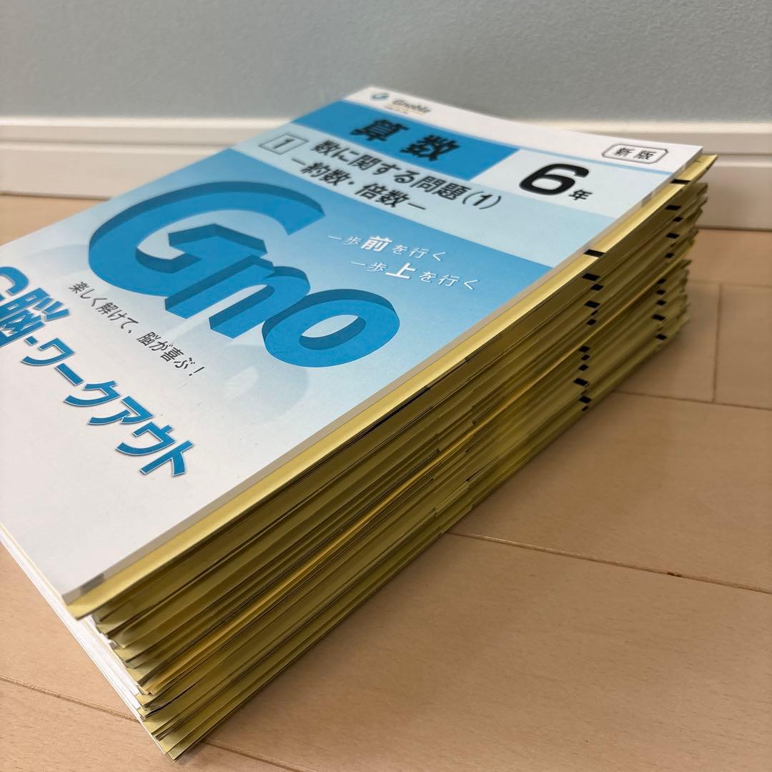 中学受験グノーブル　算数6年 G脳ワークアウト　全20冊