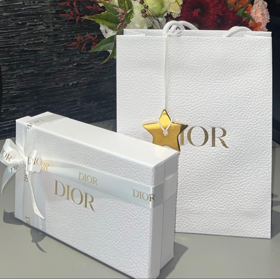 Dior iPhoneケース 15pro