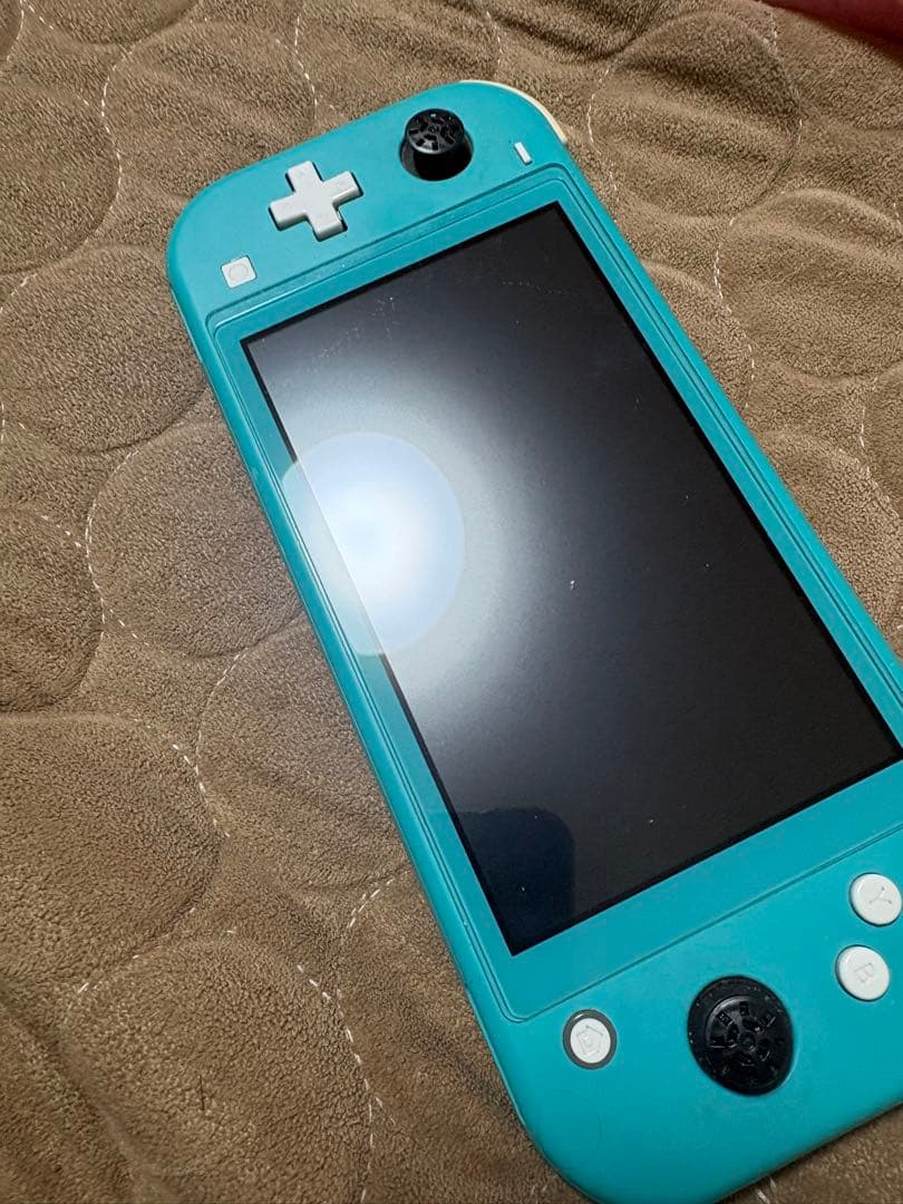 Switchライトジャンク品