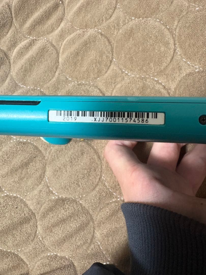 Switchライトジャンク品