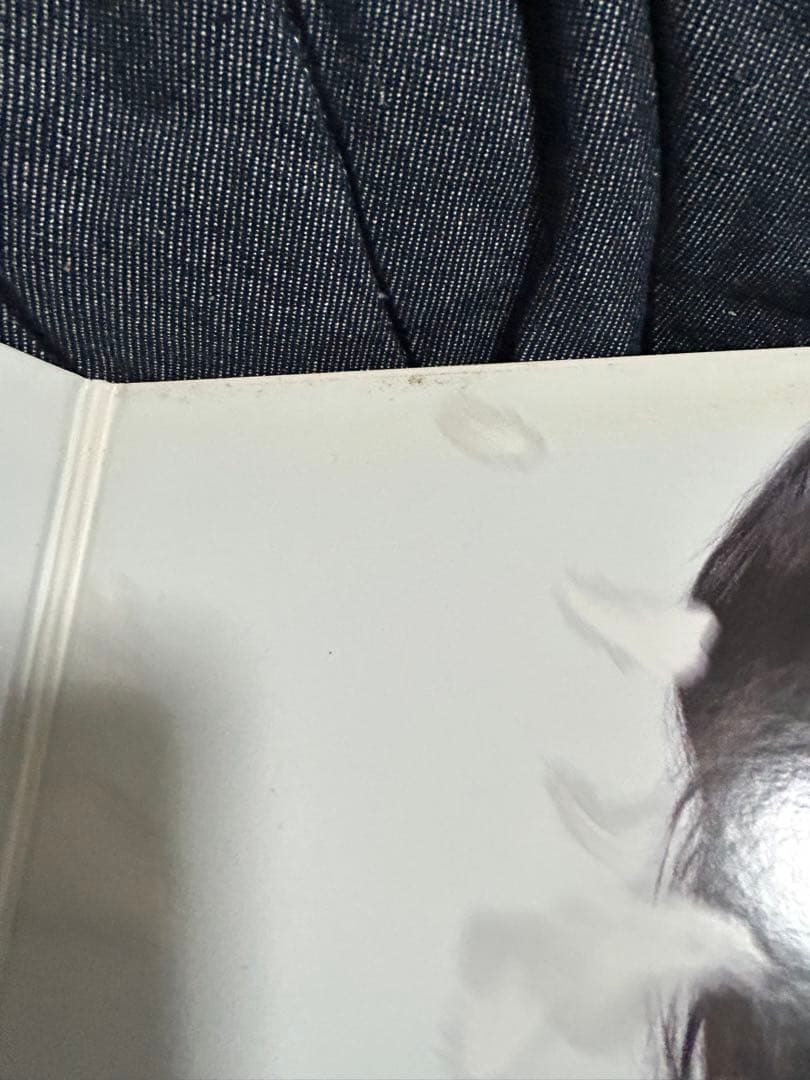 LP 中島美嘉　YES レコード二枚組　インナースリーブ付き