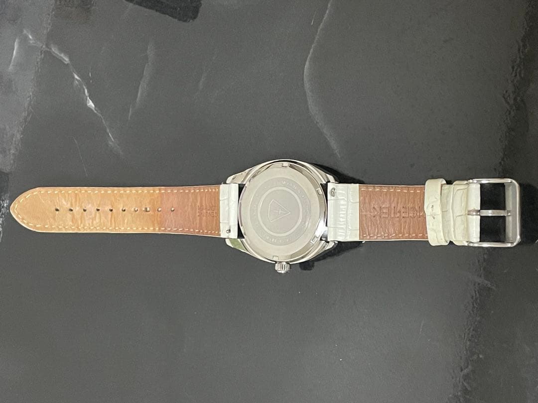 アイステック ICETEC SPINNER 腕時計