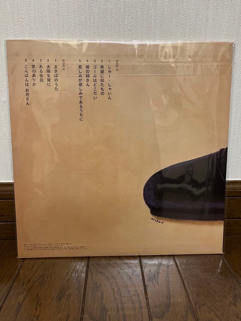 寺尾紗穂　レコード　しゅーしゃいん　LP