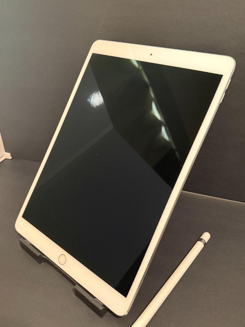 ipad pro 10.5 cellular 256GB ＋ ペン付き