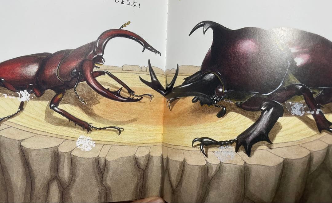 ★全て福音館×厳選★ くもん推薦図書　ロングセラー　絵本まとめ売り