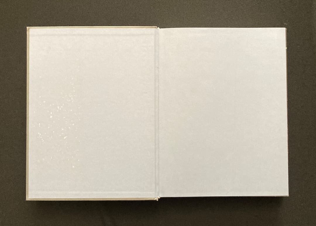 No.696《おすすめ》『（伊文）イル・ラガッツォ　少年の美と性愛について』