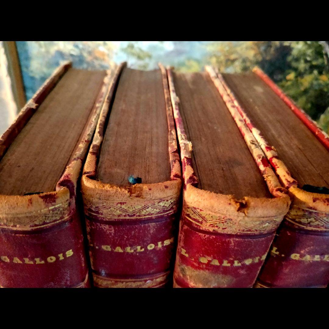 ❤１７０年前❤【フランス・高級アンティーク洋書】４冊セット⭐️革製⭐️希少