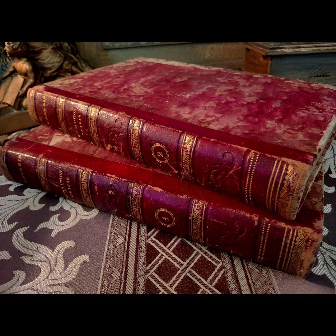 ❤１７０年前❤【フランス・高級アンティーク洋書】４冊セット⭐️革製⭐️希少
