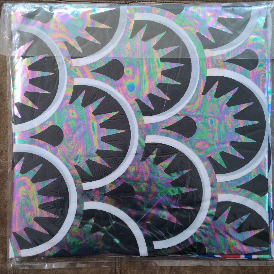 鯉のぼり　鯉幟　岐山日本鯉　黒　6m