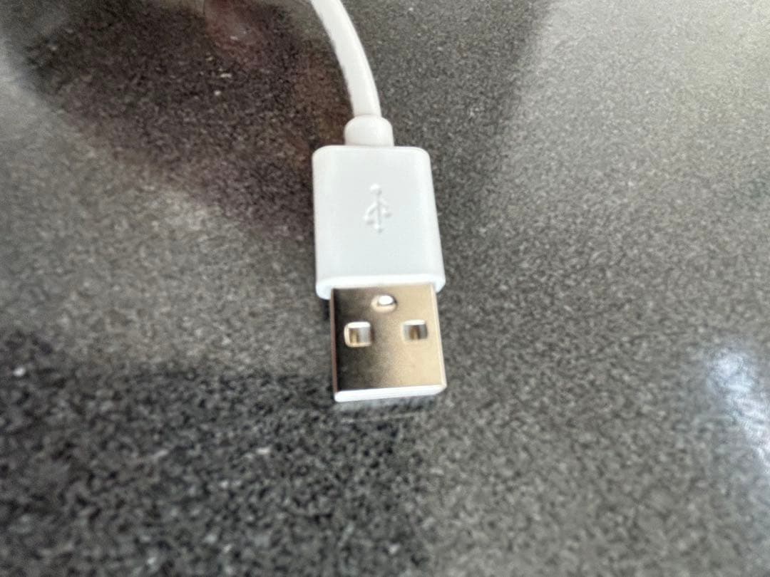 SALONIA 美顔器 USB充電式