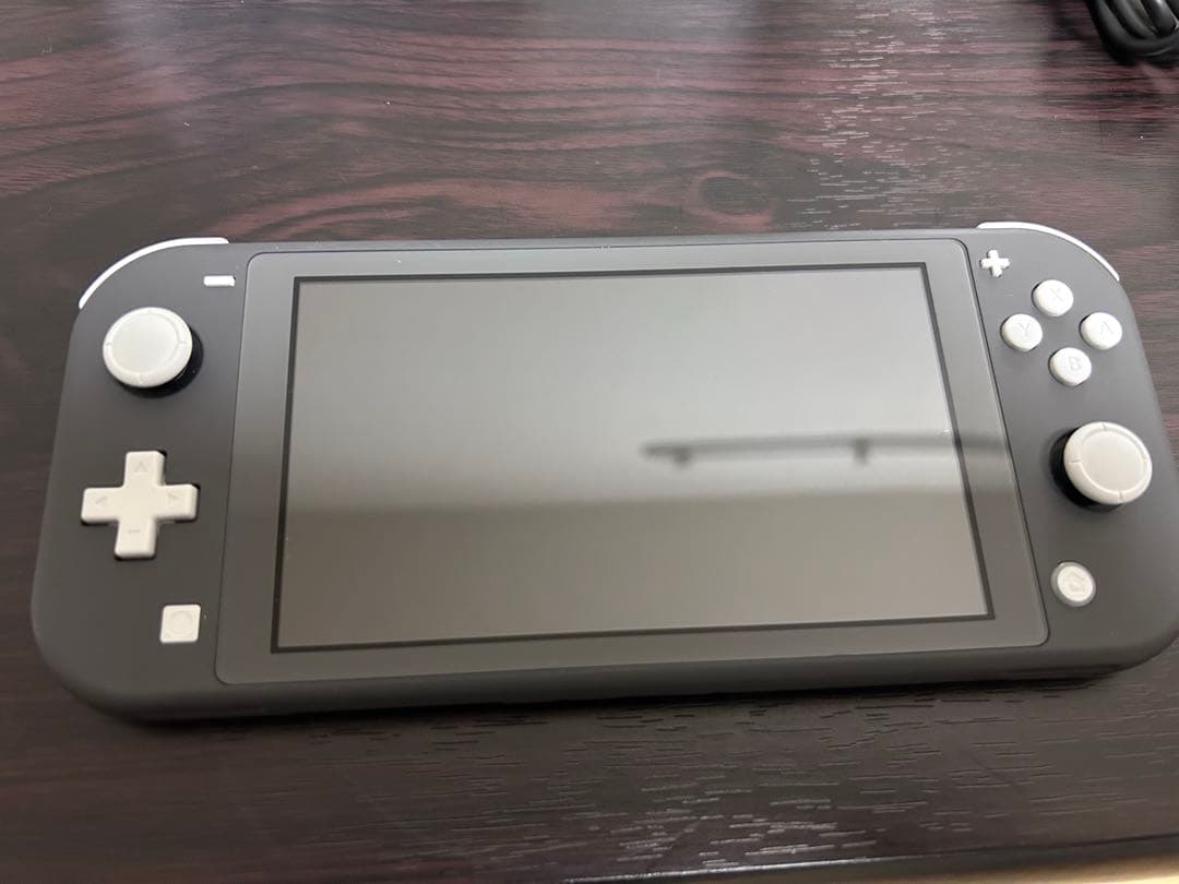 Nintendo Switch Lite本体、充電器、ケース、ソフト付き