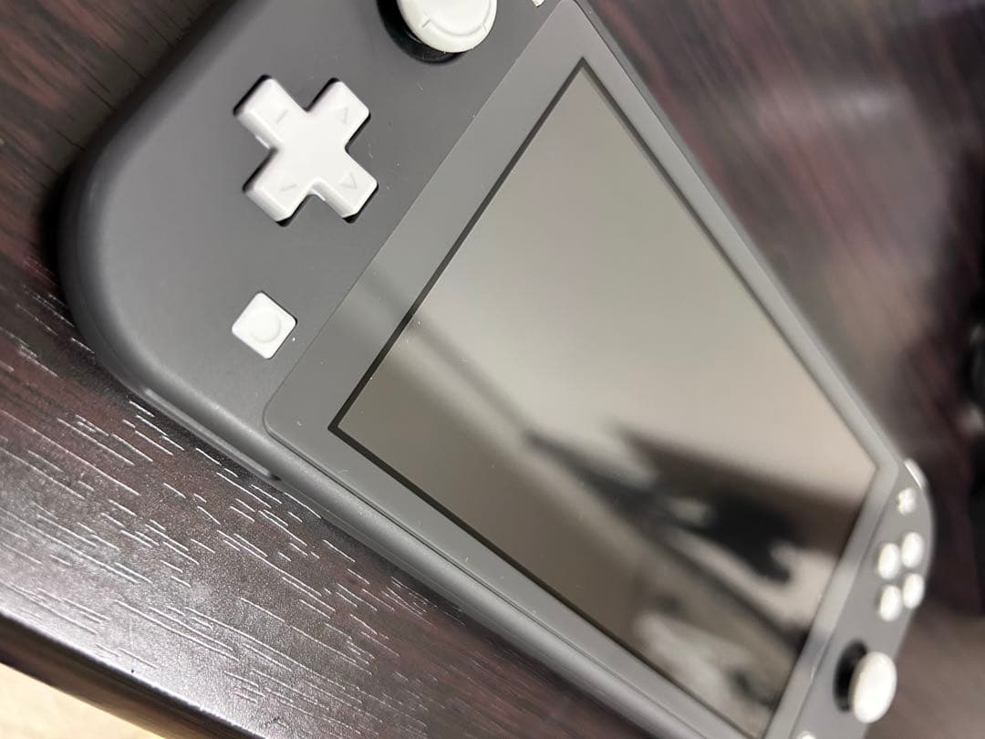 Nintendo Switch Lite本体、充電器、ケース、ソフト付き