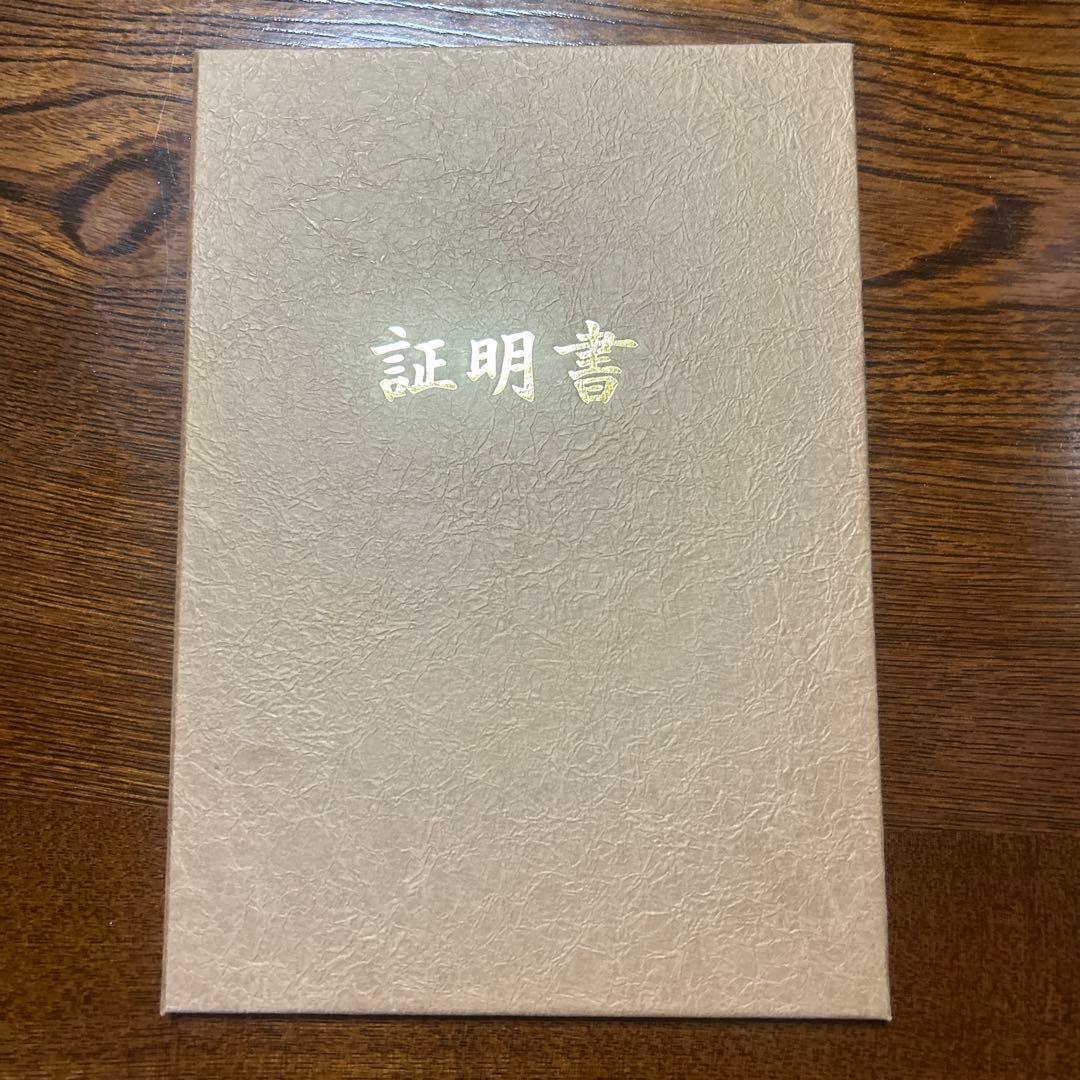 No.45総刺繍訪問着 [蘇州刺繍正絹] 新品未使用仕立上がり