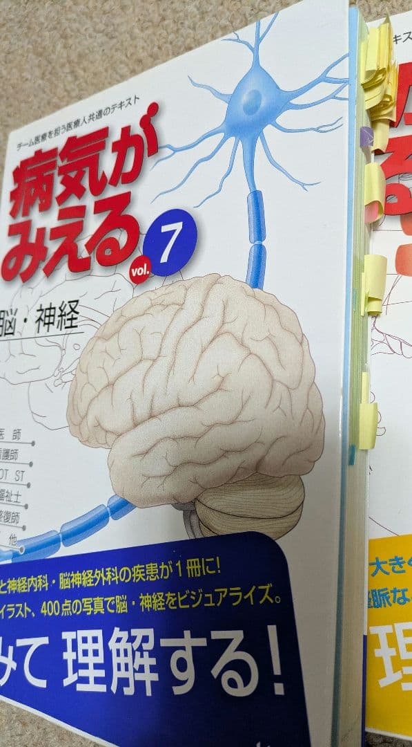 病気がみえる・からだがみえる