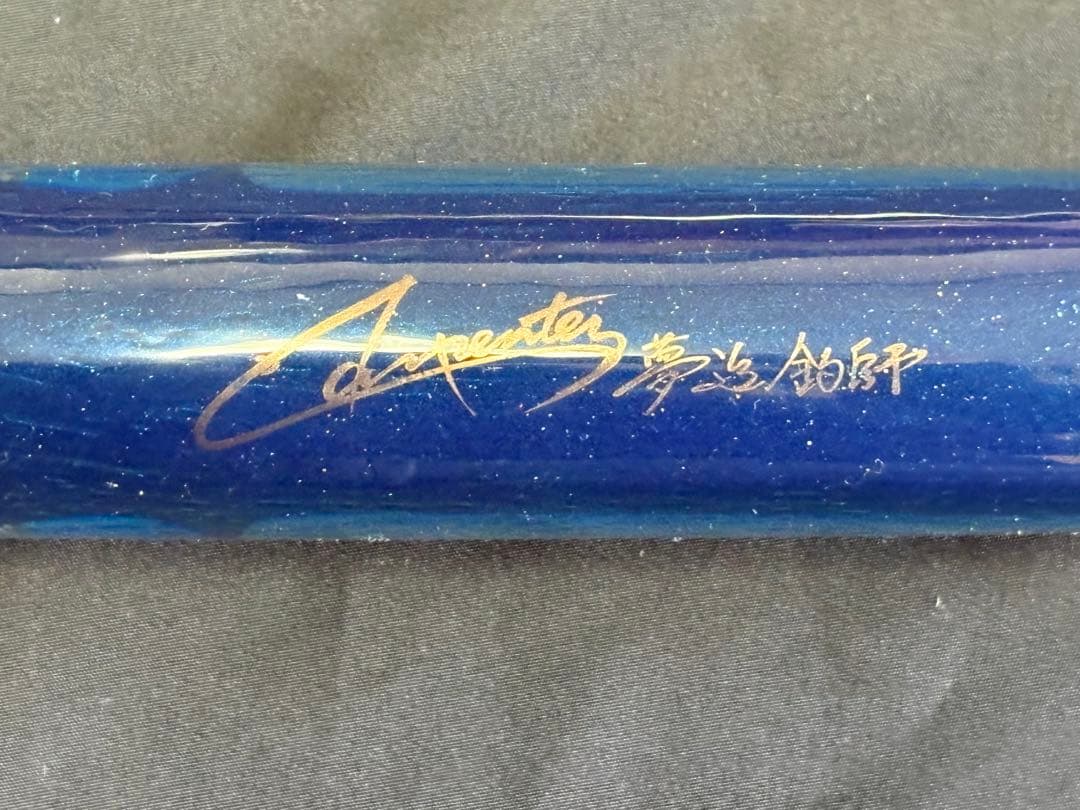 カーペンター SE ストライクイーグル 245mm LQ シイラ