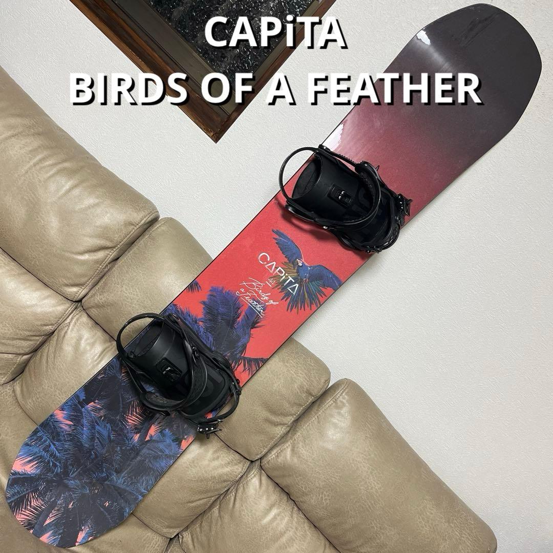 リーシュプレゼント BIRDS OF A FEATHER 144×UNION S