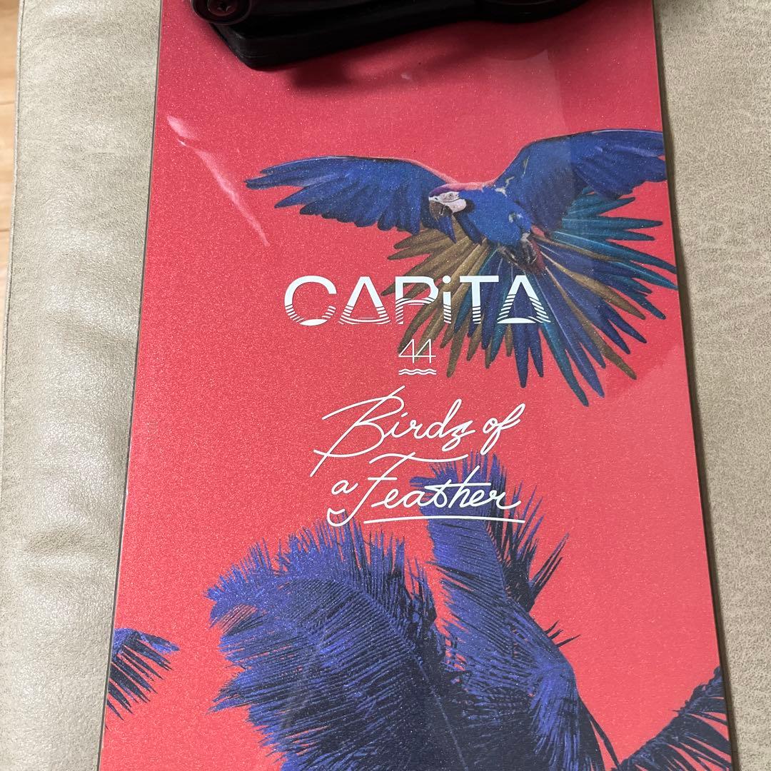 リーシュプレゼント BIRDS OF A FEATHER 144×UNION S