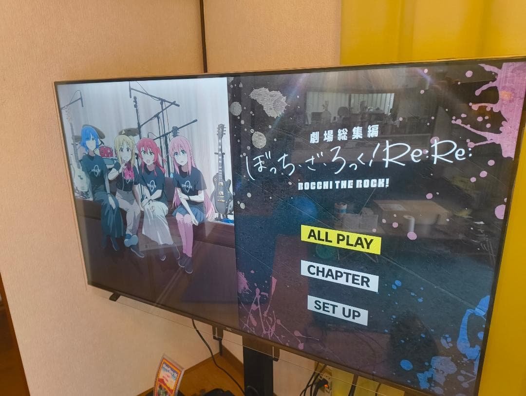 DMR-2W102　2024年製 ディーガ DIGA ブルーレイレコーダー