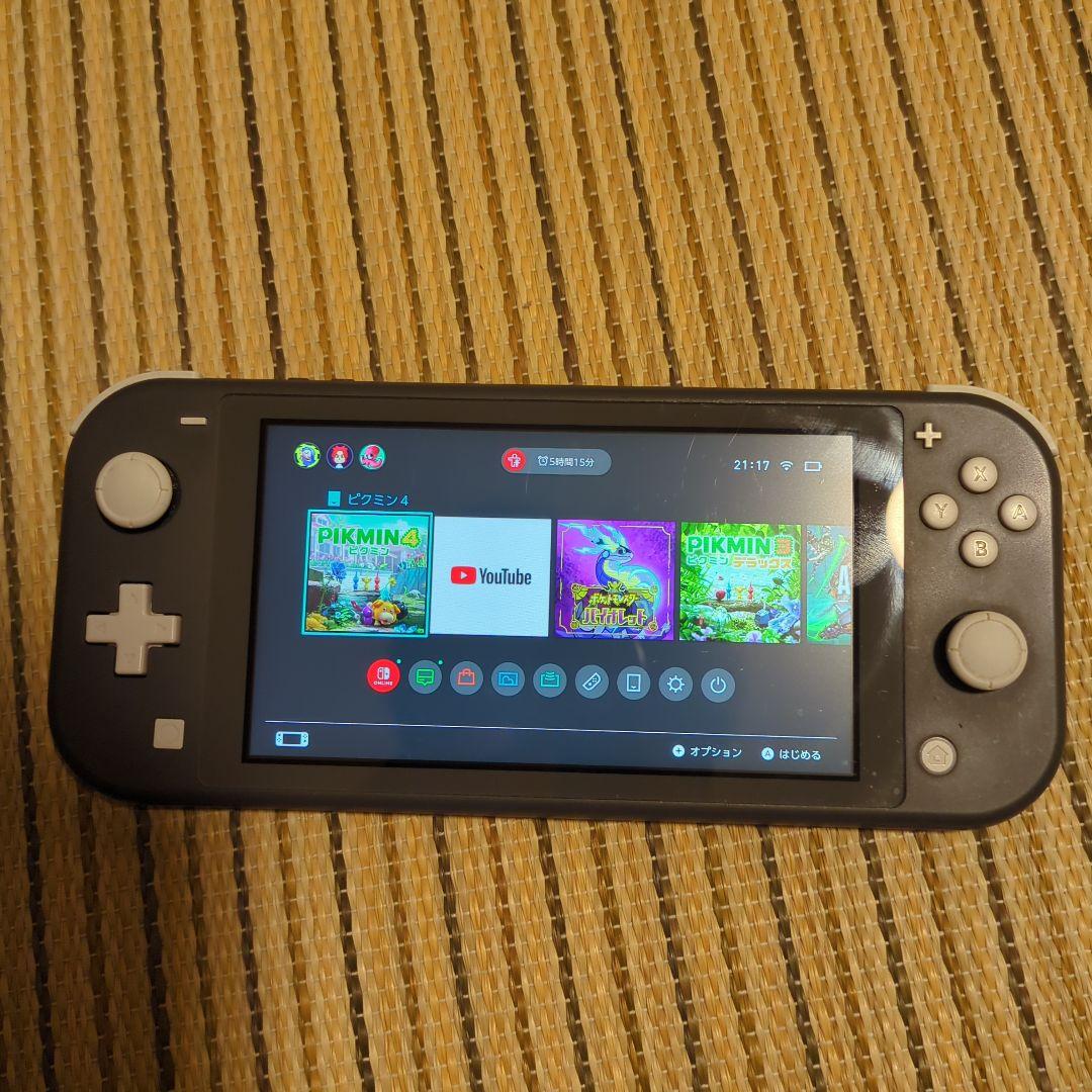 Nintendo Switch Lite グレー ピクミン4ダウンロード版付き