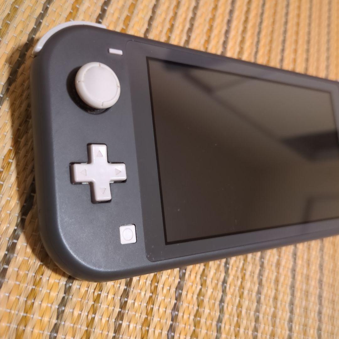 Nintendo Switch Lite グレー ピクミン4ダウンロード版付き
