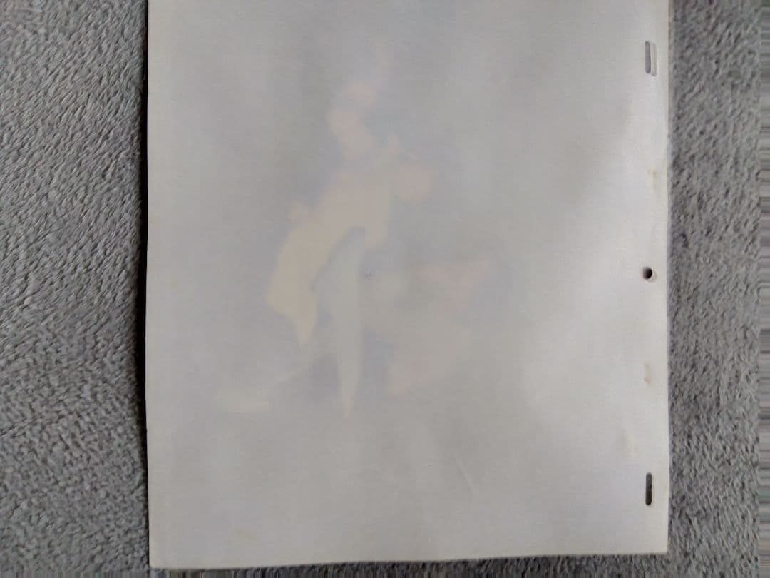 めぞん 一刻響子さん、五代セル画