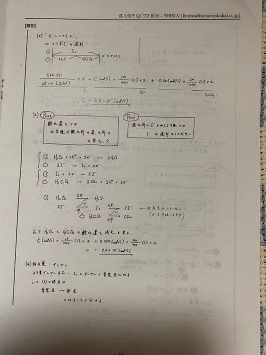 鉄緑会高3化学発展講座、入試化学演習　授業冊子　非売品