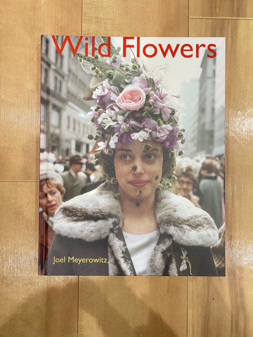 アート・デザイン・音楽 Joel Meyerowitz Wild Flowers