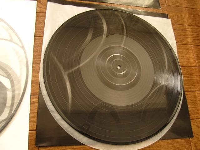 その他 Hollow Knight Video Game Vinyl Record