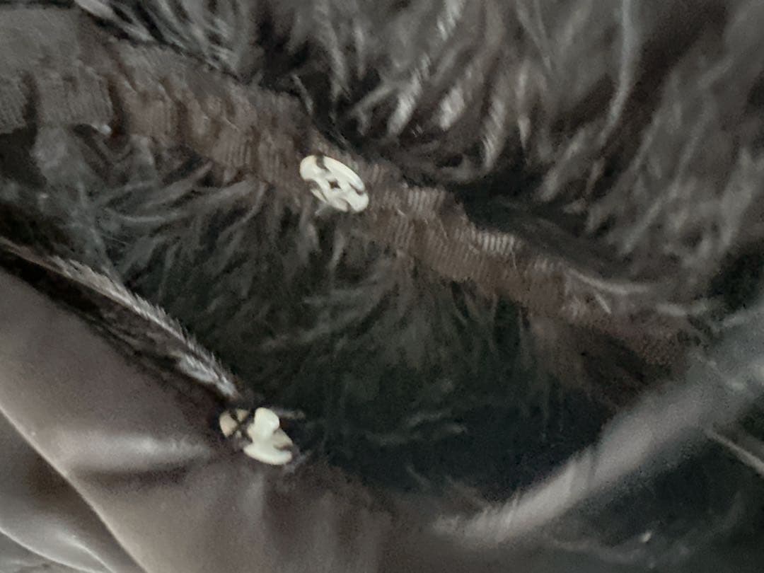 フェラガモ　ミンク ヴァラリボン フラットシューズ　サイズ5 黒　ブラウス