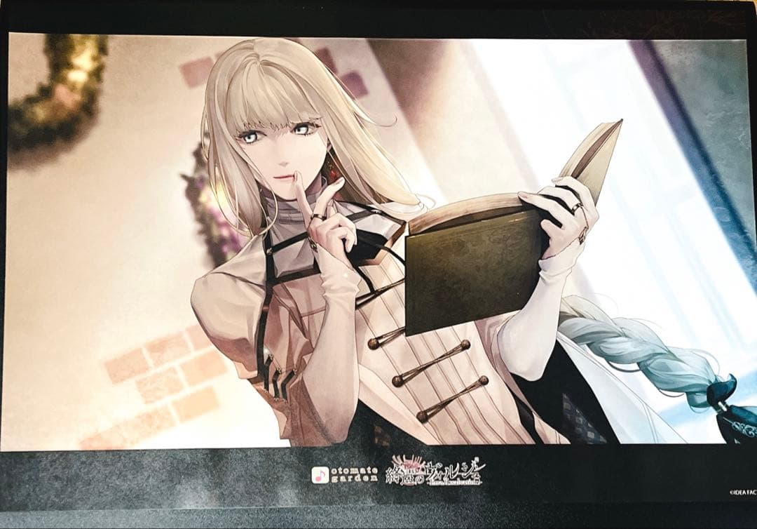 終遠のヴィルシュ　終ヴィル　オトメイト　オトガ　ランチョン　リュカ