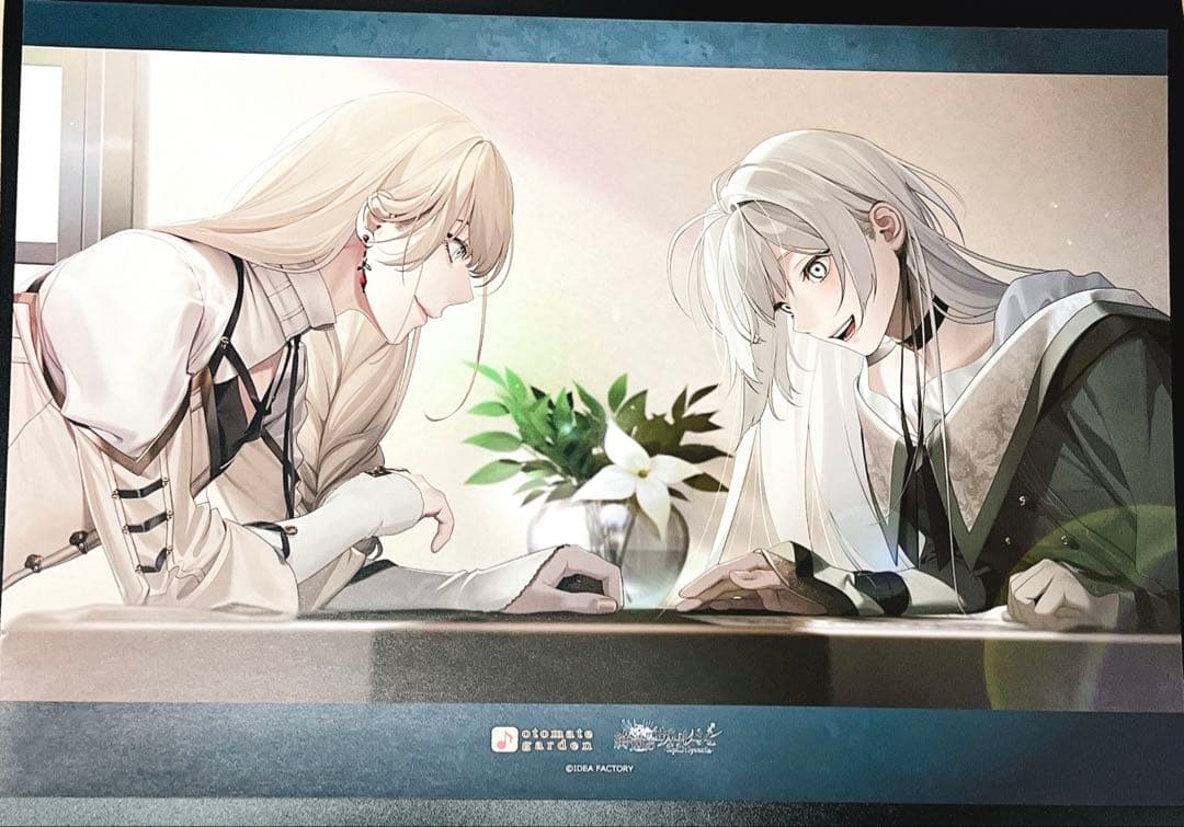 終遠のヴィルシュ　終ヴィル　オトメイト　オトガ　ランチョン　リュカ