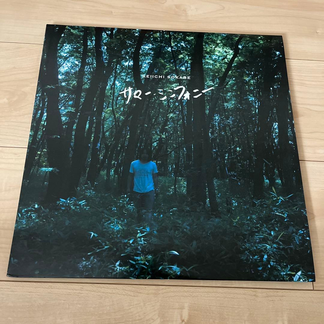 曽我部恵一 限定レコード（サマーシンフォニー feat. PSG）LP アナログ