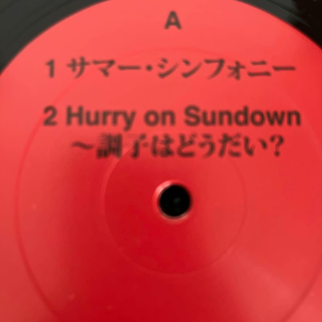 曽我部恵一 限定レコード（サマーシンフォニー feat. PSG）LP アナログ